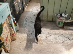 -小时光咖啡馆(北锣鼓巷店)
