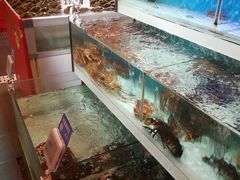 -盒马X会员店(王府井奥莱UP TOWN店)