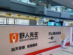 -野人先生Gelato(上海长宁龙之梦店)