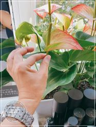 -变画·发型STUDIO