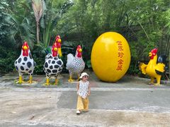 -深圳野生动物园