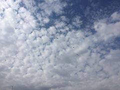 -太白山国家森林公园-停车场
