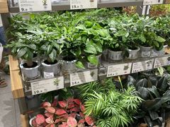 -鹿岛生活(熙地港店)