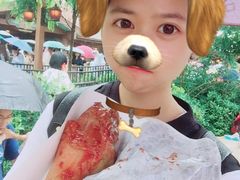 火鸡腿-迪士尼火鸡腿