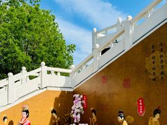 -曹州牡丹园