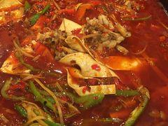土豆-自贡好吃客(科华店)