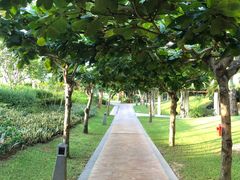 -三亚亚龙湾天域度假酒店