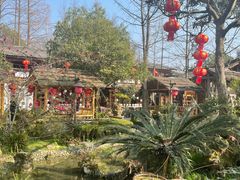 -青城甲(青城山店)