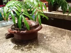 -南堂館川菜文化餐厅(天府店)