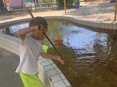 -广东花都香草世界旅游度假区