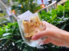 -君悦酒店·La Terrazza意合園·意式风味
