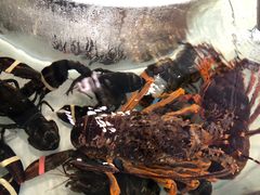 -万龙洲海鲜(大兴绿地缤纷城店)