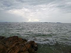 -杨梅坑