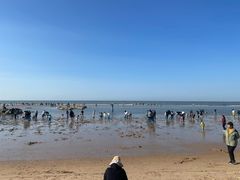 -老虎石海上公园