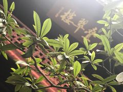 -采石矶景区