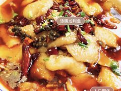 -刘胖子家常菜·蹄花焖藕(中央花园店)