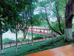-温江公园