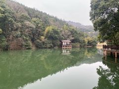 -洪崖丹井