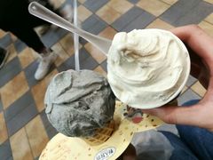 -野人先生现做冰淇淋(西安赛格店)