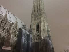 -斯蒂芬主教座堂(Stephansdom)