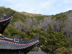 -普陀山慧济禅寺