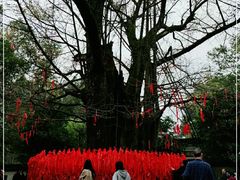 -西湖风景区十里琅珰-五云山