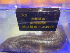 -余姚北站