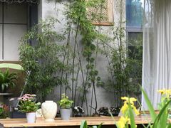 -谷咖啡·鲜花绿植花园餐厅