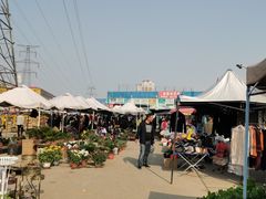 -中环花鸟鱼虫市场