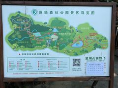 -西双版纳原始森林公园