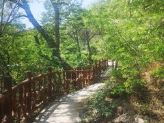 -北京凤凰岭