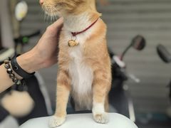 -花姨·老电影院果汁冰(开元店)