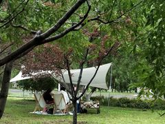 -永定河休闲森林公园