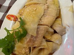 -文东记(马里士他路)