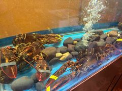 -Acqua海蓝意大利餐厅