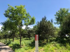 -东郊湿地公园
