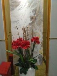 -CICI纤美·科技减肥美容