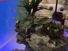 -佬麻雀·新湘菜(珠海金发购物中心店)