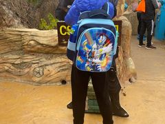 -大连海昌发现王国主题公园