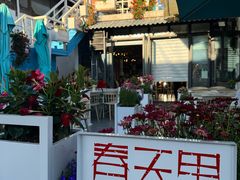 -春天里餐厅·云南创意菜特色美食(束河店)