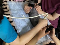 -宠颐生斯嘉宠物医院·急重症·心内科(谷阳北路分院)