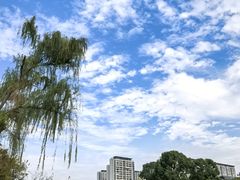 -九里河湿地公园