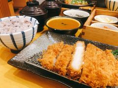 -胜博殿日式炸猪排(西红门店)