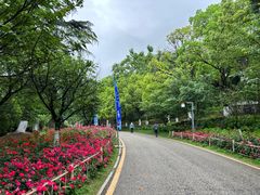 -花溪公园