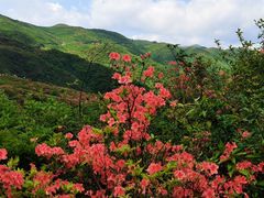 -攀枝花公园