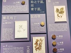 -中国湿地博物馆
