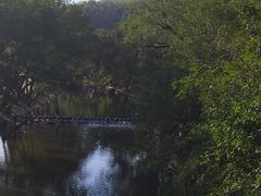 -鹿亭中村