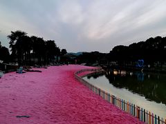 -苏州太湖西山岛开心农场