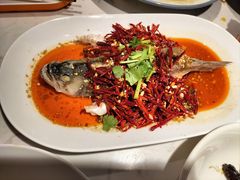 -杨氏青龙虾·羊蝎子(珠江路店)