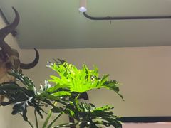 -懒人盐府人家·自贡大麻鱼(安贞店)